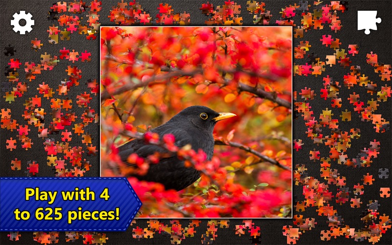 Jigsaw Puzzles For Mac Free Download